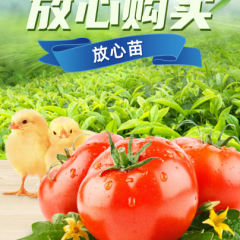 一次合作终身朋友