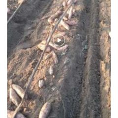 优越的质量优越的服务