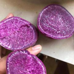 湖北省宜成市精选紫薯已经大量上市