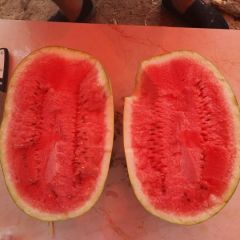 金城五 抓紧订购了