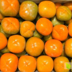 代销七月黄湖北襄阳竹叶山农产品交易中心光玉水果行