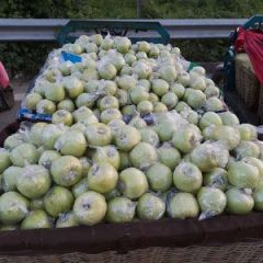 潍城求购金帅，富士苹果，青萝卜