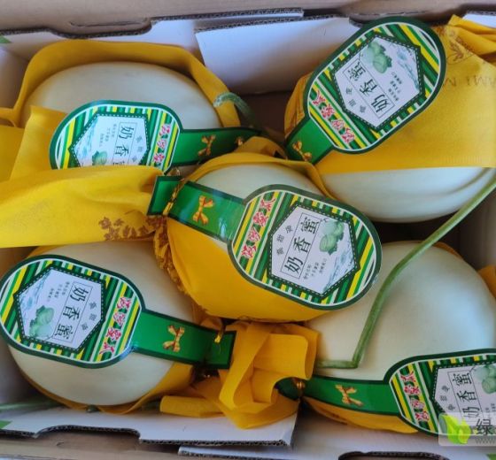 2020年河北饶阳大棚精品玉菇价格