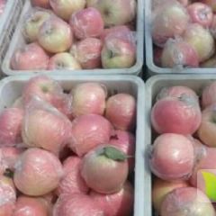 山东潍坊大量供应红将军苹果