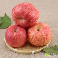 水果批发。苹果红富士。有需要的在平台聊一聊联系我。