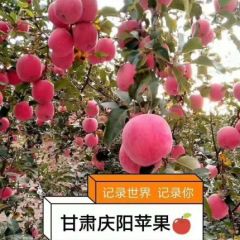 甘肃庆阳红富士苹果