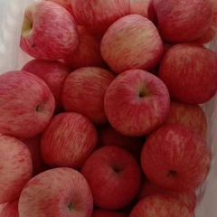 陕西红富士苹果供应红富士苹果价格