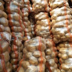 常年供应基地土豆货源充足，价格美丽