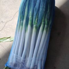 山东临沂费县铁杆大葱大量上市，欢迎客商前来选购。