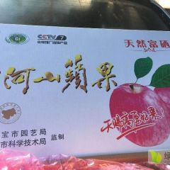 高山红富士苹果，冰糖心