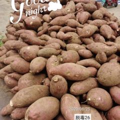 山东省邹城市大量供应加工厂