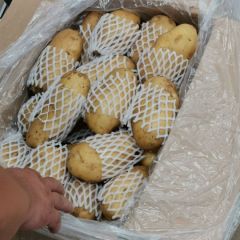 山东省肥城市供应冷库精品土豆，量大从优。