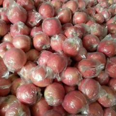 大量供应精品红富士苹果