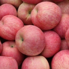 苹果价格上涨，其它水果价格继续保持下跌趋势