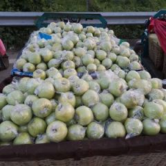 潍坊黄金帅 红星 红将军苹果