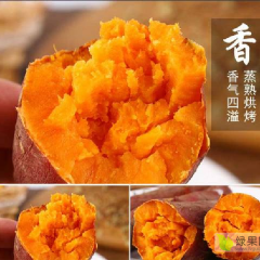 河北衡水阿龙西瓜红大量供应