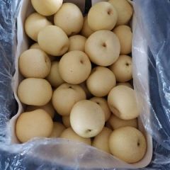 砀山县套袋白皇冠梨