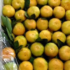 各位采购商自己比对一下货靓不，