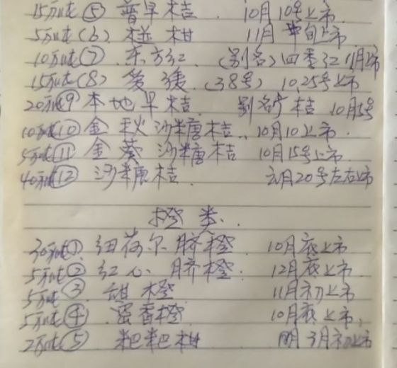 2020年广西兴安南丰蜜桔价格
