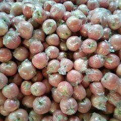 山西万荣冰糖心膜袋红富士大量上市了