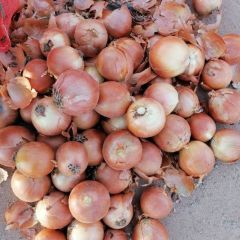 甘肃省金昌市永昌县双湾镇