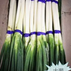 寿光蔬菜供应 基地蔬菜 当天采摘当天发货