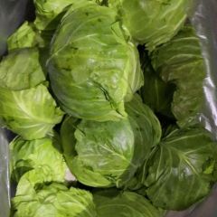 寿光蔬菜 基地蔬菜供应 当天采摘 当天发货