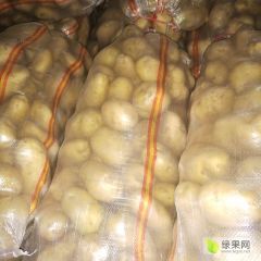 常年供货 价格不高 品质优良