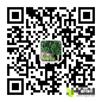 mmqrcode1603246629243.png