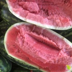 大量供应缅甸进口优质皮二西瓜