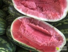 大量供应缅甸进口优质皮二西瓜