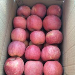 纸袋富士大量上市了！就地批发价格