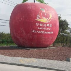 套袋红富士，香脆无比