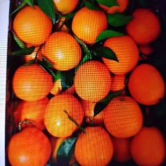 宜昌柑橘。清甜爽口，且质优价廉！