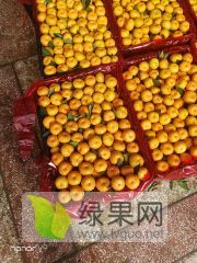 南丰蜜桔上市了