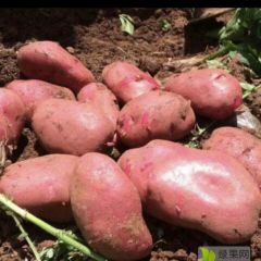 品种特别好，量大，寻求收购方