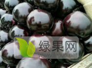 2020年山东莘县黑茄王价格
