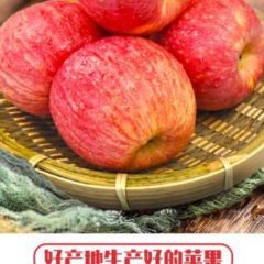 陕西红富士苹果正宗苹果包邮