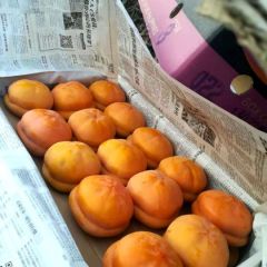 磨盘柿子大量销售中