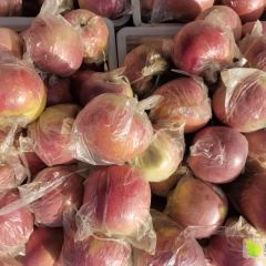 苹果 红富士苹果 膜袋红富士苹果