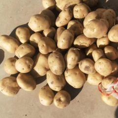 诚信代办，希望有机会合作，共创未来