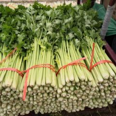 优质西芹，大量供应