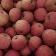 嘎嘎好吃的辽南东马屯苹果来了