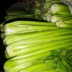 河南周口芹菜大量上市，品质优良，日出三万斤