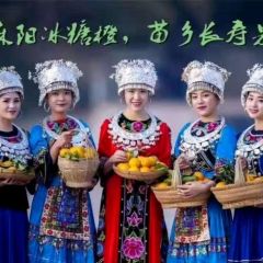 湖南麻阳冰糖橙，产地直发，一件代发
