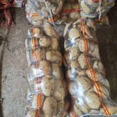 代办中国马铃薯主产地之一围场土豆