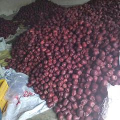 大量供应各类标准的花牛苹果