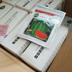 宏奥奇甜 甜王西瓜种子