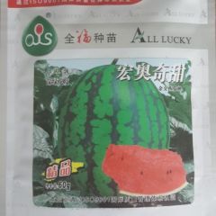 宏奥奇甜 甜王西瓜