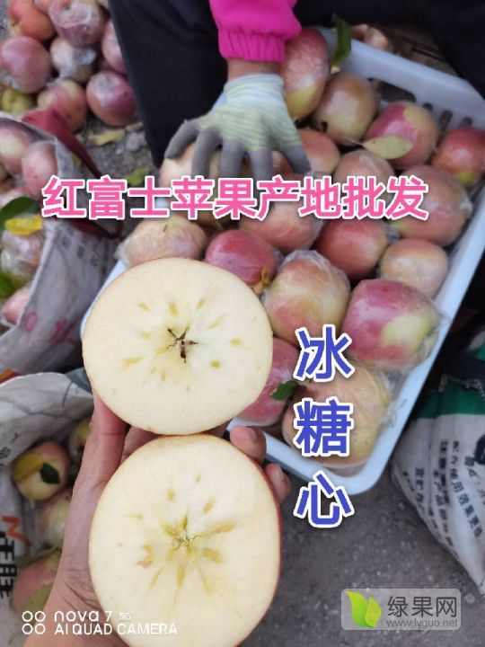 2020年山东寒亭红富士价格